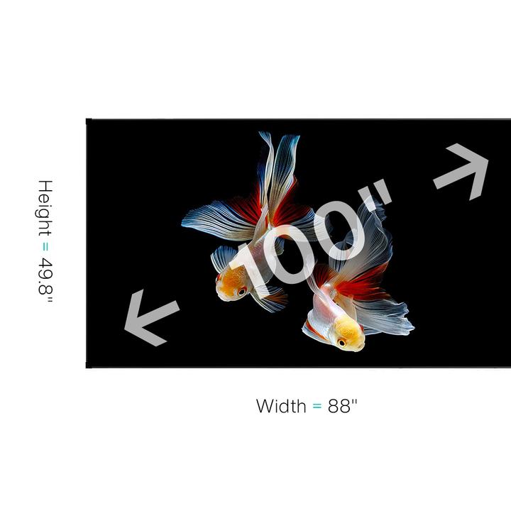 VAVA Ambient Light Rejecting (ALR) Projector Screen Pro
